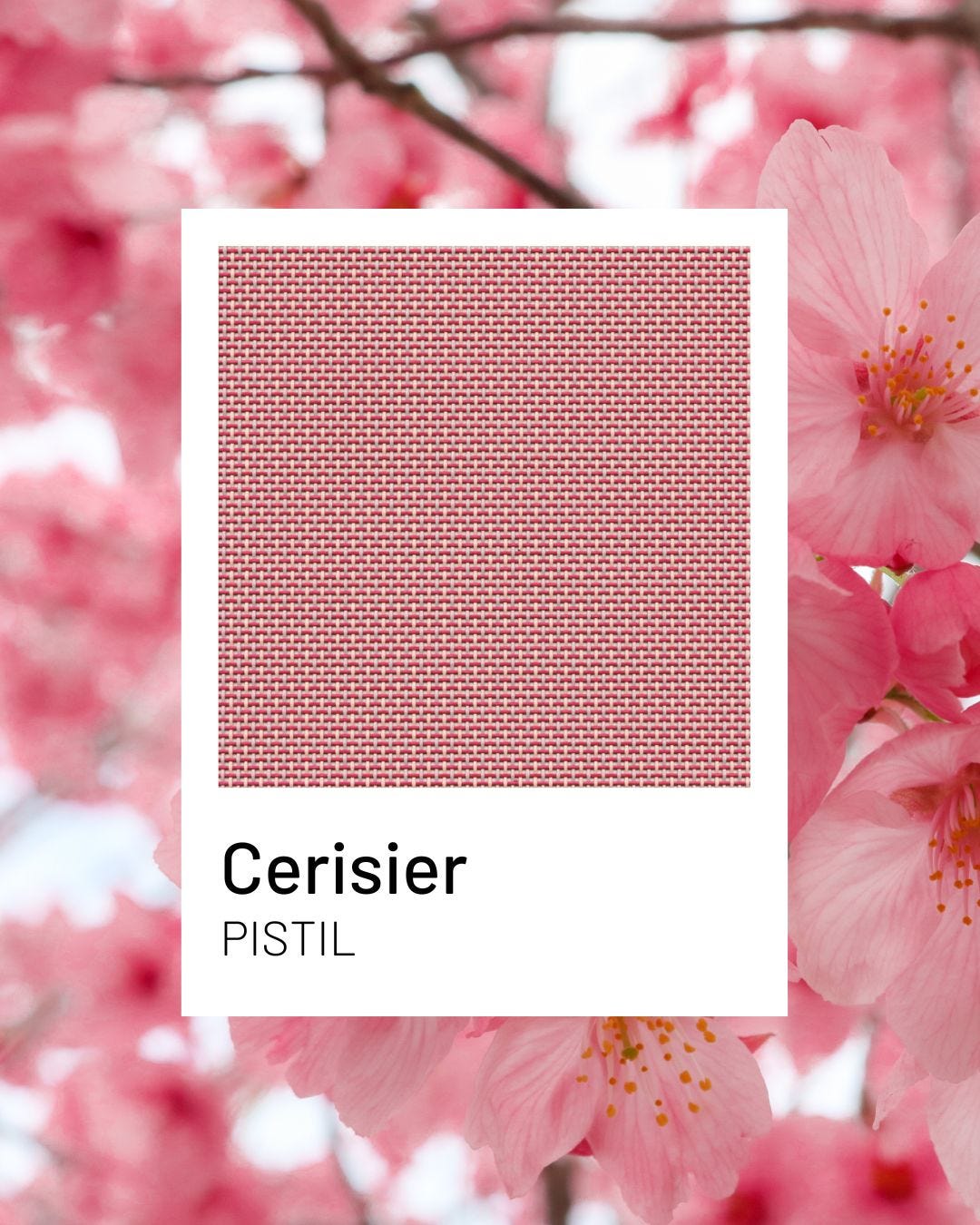 Cerisier, un tono suave y cálido de la colección Pistil de Lafuma Mobilier