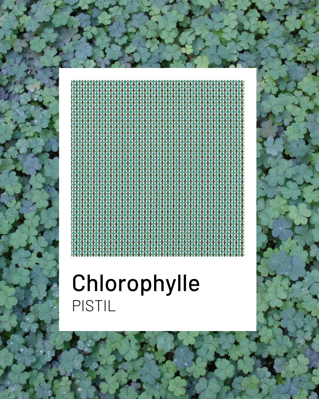 Chlorophylle, un color natural e intenso para tus terrazas | Lafuma Mobilier