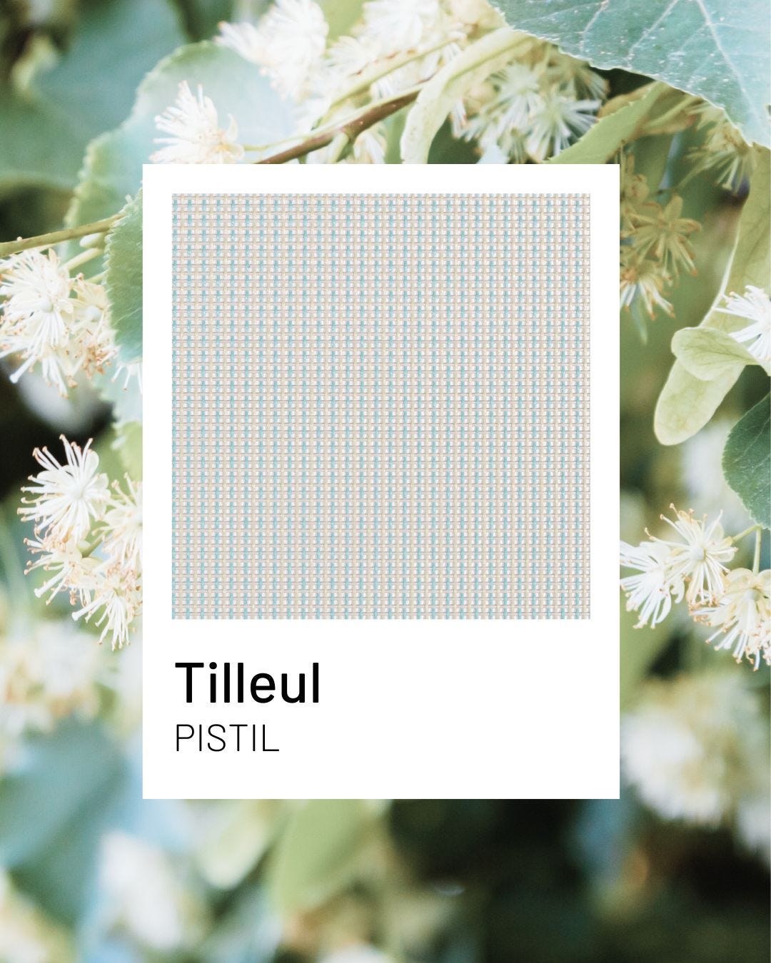 Tilleul, un tono fresco y relajante para muebles de jardín duraderos | Lafuma Mobilier